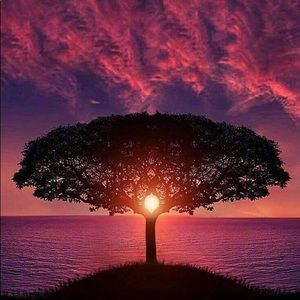 Meet your Posher, Roxana